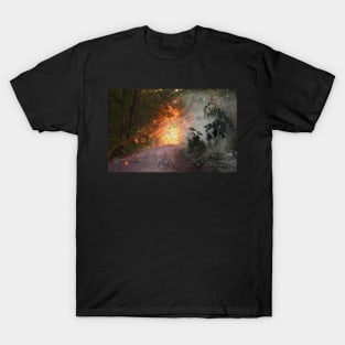 3D CHINESE GHOST STORY T-Shirt